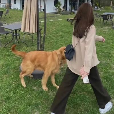 米兰达第一季